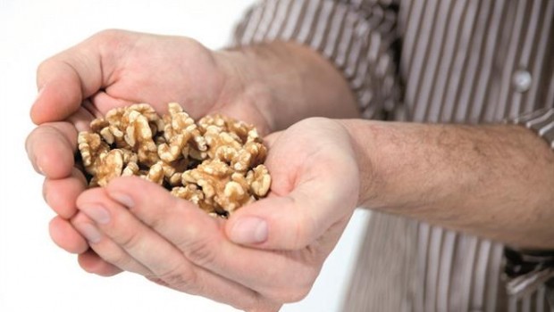 ep nueces punadonueces
