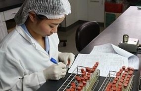 ep produccionantibioticos