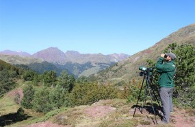 ep tecnicoscamposeobirdlife observandoaves