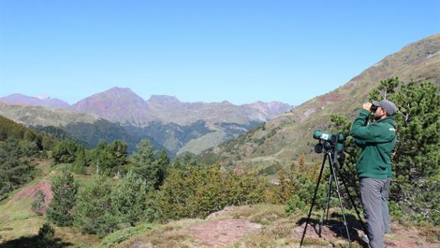 ep tecnicoscamposeobirdlife observandoaves