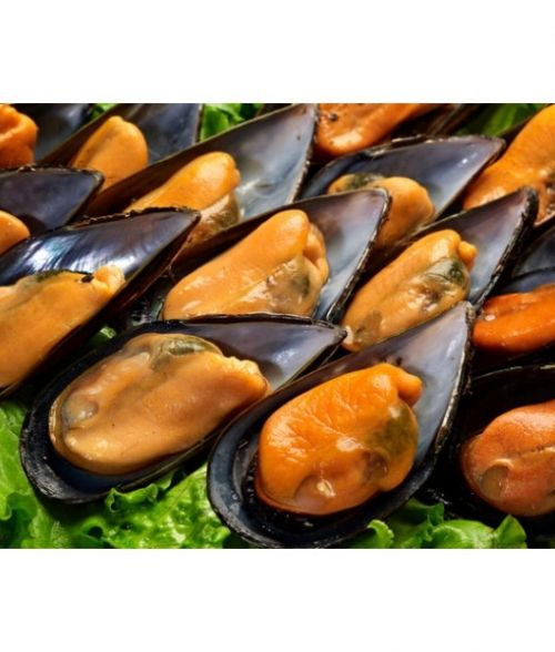 mejillones gallegos cocidos extras 500x588