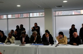 Profesores