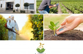 1575447518 pedro perez