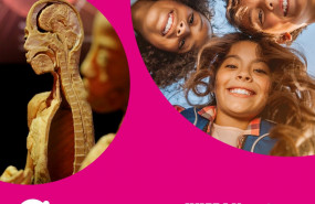 1597825356 cc arenasdonaciones