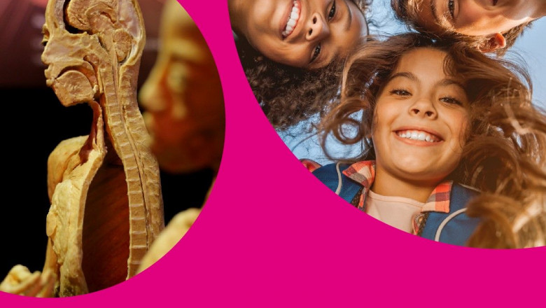 1597825356 cc arenasdonaciones