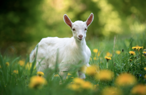 captura de pantalla 2024 03 11 a las 80603 am