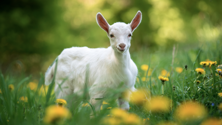 captura de pantalla 2024 03 11 a las 80603 am