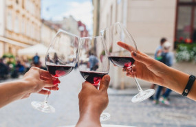 catandosomontano2025 catandosomontano2025