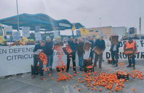 ep agricultores tirando las mandarinas
