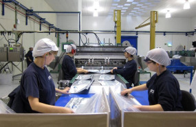 ep archivo   mujeres trabajando en una fabrica