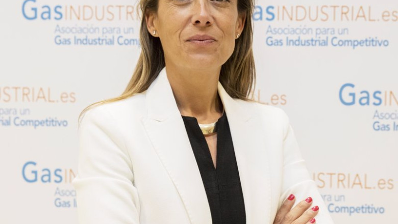 ep archivo veronica rivire presidenta ejecutiva de gasindustrial ep archivo veronica rivire presidenta ejecutiva de gasindustrial
