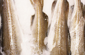 ep bacalao frescomercamadrid