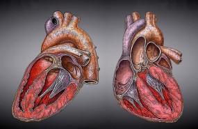 ep corazon 20170322125702
