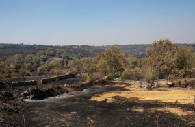 ep imagen de un incendio forestal en fornillos de fermoselle el pasado mes de julio