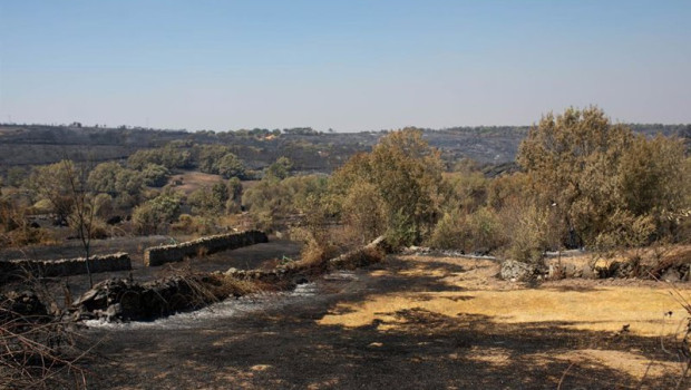 ep imagen de un incendio forestal en fornillos de fermoselle el pasado mes de julio