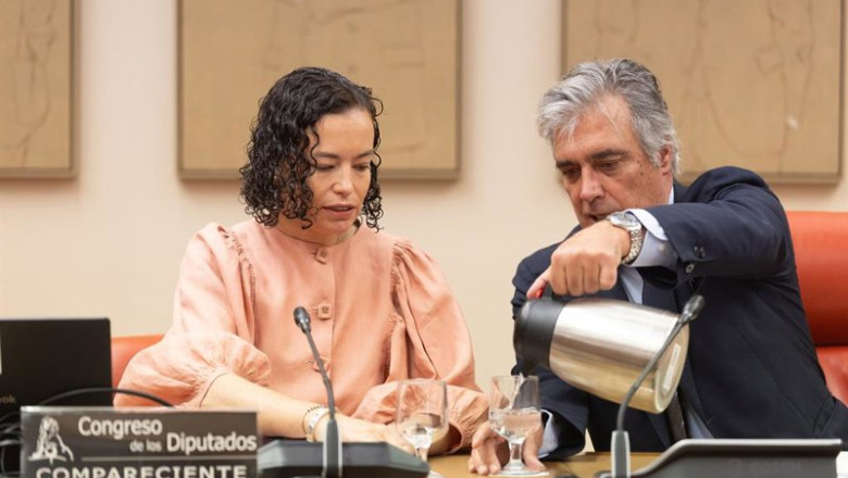 ep la actual directora general del tesoro y politica financiera carla maria diaz alvarez de toledo