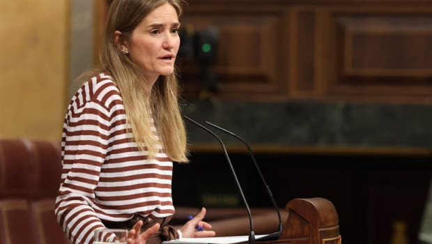 ep la vicepresidenta tercera y ministra para la transicion ecologica sara aagesen interviene durante 20250514115504