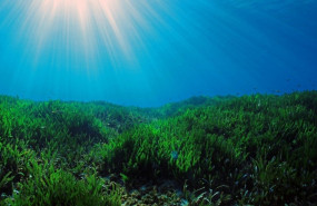mathieu imbert calanques national park mathieu imbert calanques national park