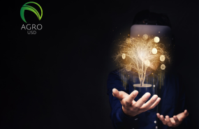 004 agrousd lanza un programa global de inclusin financiera basado en blockchain 004 agrousd lanza un programa global de inclusin financiera basado en blockchain