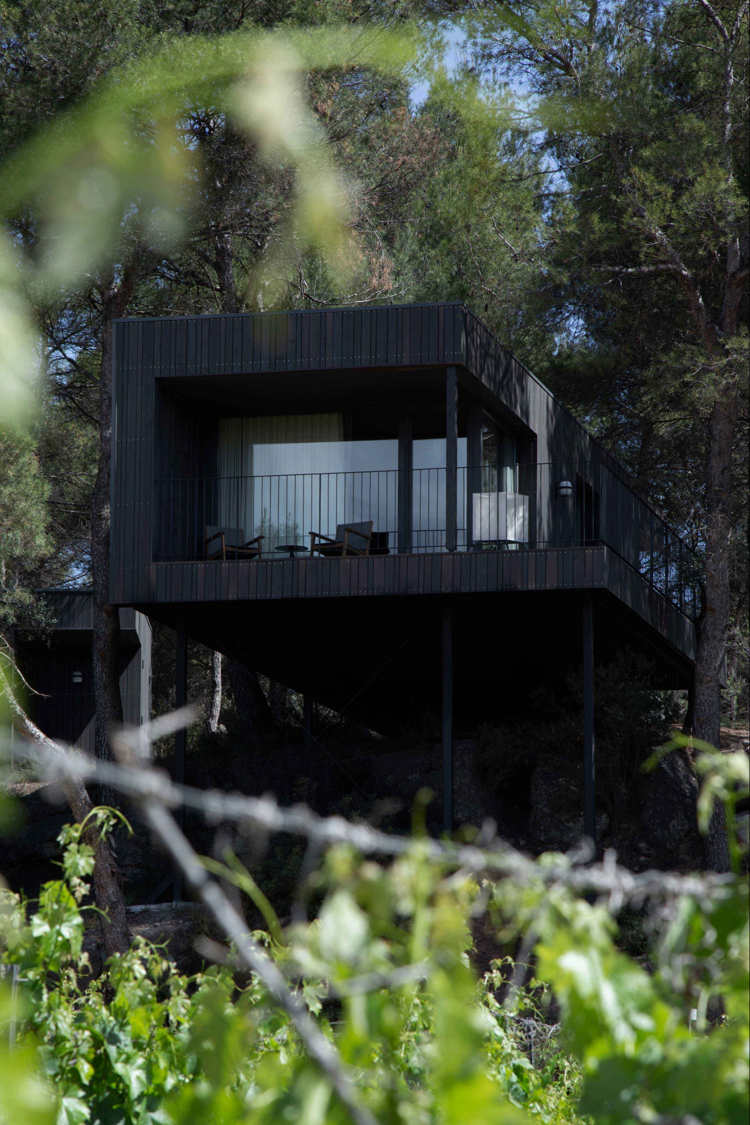 1627550691 2 2 1627550691 2 2