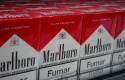 cigarros cigarros