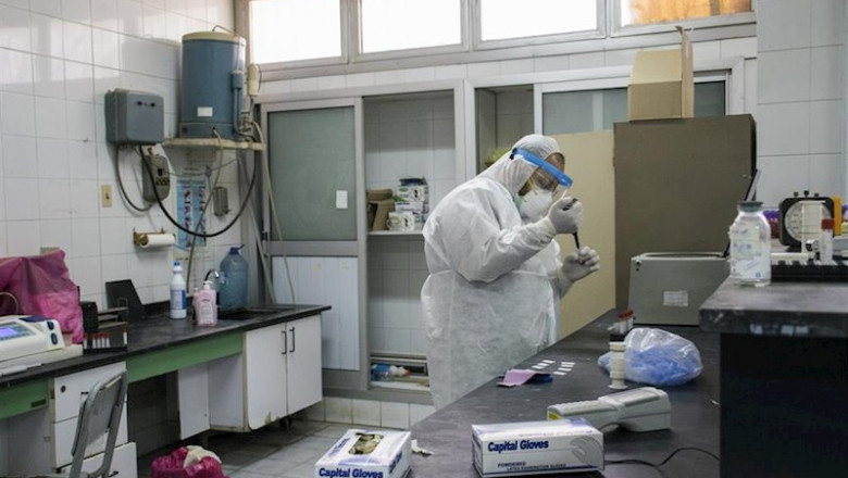 ep 21 may 2020 egypt giza a picture made available on 23 may 2020 shows a medic analysing swabs ep 21 may 2020 egypt giza a picture made available on 23 may 2020 shows a medic analysing swabs