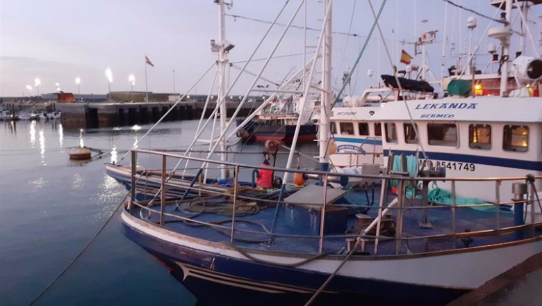 Archivo - Barcos de pesca de bajura amarrados en el Puerto de Bermeo (Bizkaia) | EUROPA PRESS - Archivo ep archivo barcos de pesca de bajura amarrados en el puerto de bermeo bizkaia