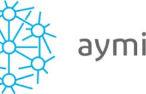 ep archivo   logo de ayming