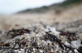 ep archivo   pellets de plastico en la playa de sabon a 9 de enero de 2024 en a coruna galicia