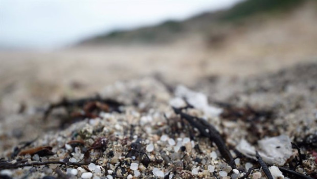 ep archivo   pellets de plastico en la playa de sabon a 9 de enero de 2024 en a coruna galicia