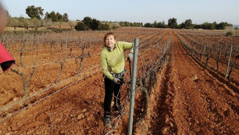 ep archivo una agricultora ep archivo una agricultora