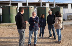 ep barrachina visita una granja porcina