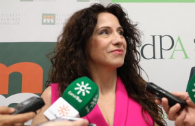 ep declaracionesla consejeraigualdad politicas socialesconciliacion rocio ruiz