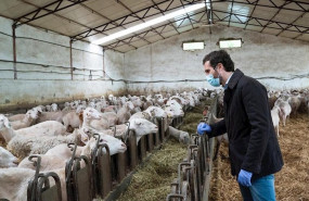 ep el lider del pp pablo casado visita una explotacion agraria dedicada al sector ovino en madrid en