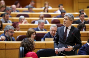ep el ministro del interior fernando grande-marlaska en el senado