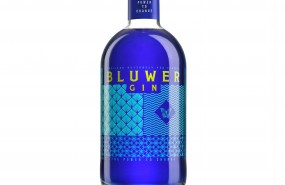 ep ginebra bluwer gin grupo varma