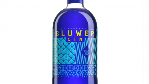 ep ginebra bluwer gin grupo varma