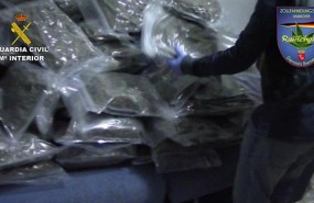 ep marihuana incautada