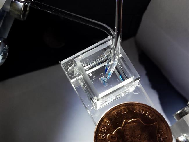 STA ES UNA IMAGEN DE LA BIOPRINTER 3-D GOTA, DESARROLLADO POR EL BAYLEY RESEARCH | SAM OLOF / ALEXANDER GRAHAM ep stauna imagenla bioprinter 3-d gota desarrolladobayley research