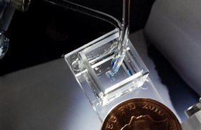 ep stauna imagenla bioprinter 3-d gota desarrolladobayley research