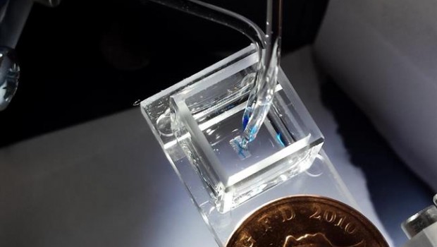 ep stauna imagenla bioprinter 3-d gota desarrolladobayley research
