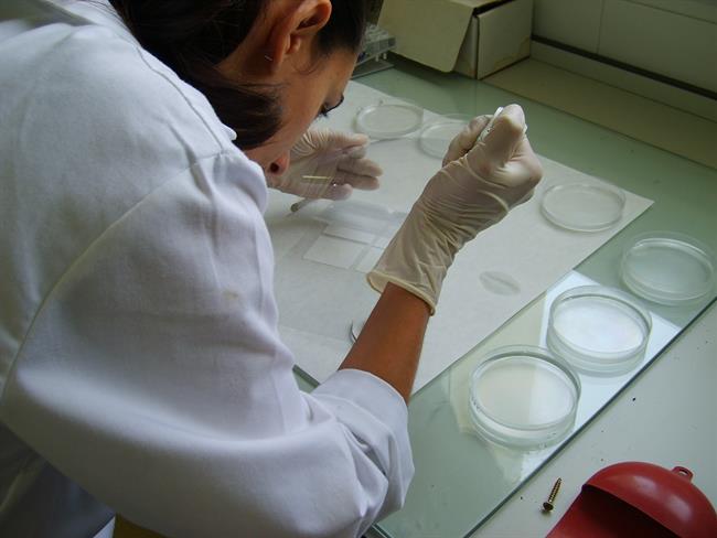 Una investigadora en un laboratorio | JUNTA ep una investigadoraun laboratorio