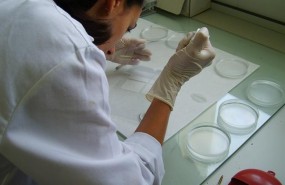 ep una investigadoraun laboratorio