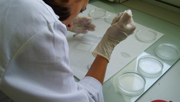 ep una investigadoraun laboratorio