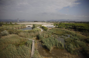 ep vista general del espacio protegido de la ricarda en el prat de llobregat
