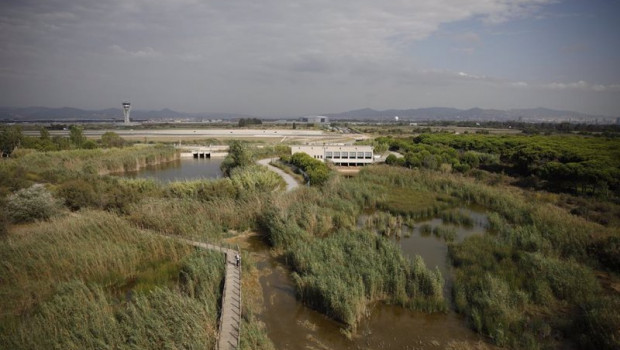 ep vista general del espacio protegido de la ricarda en el prat de llobregat
