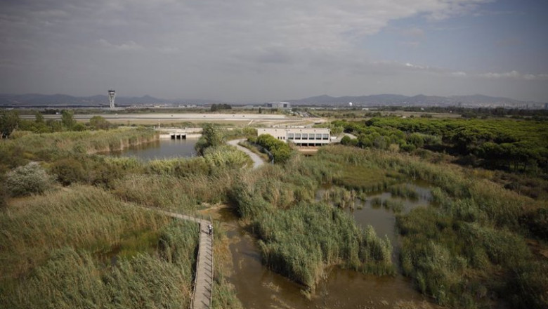 ep vista general del espacio protegido de la ricarda en el prat de llobregat
