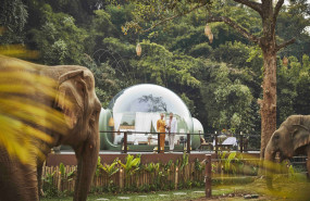 1628529931 elef55 20210811104034 