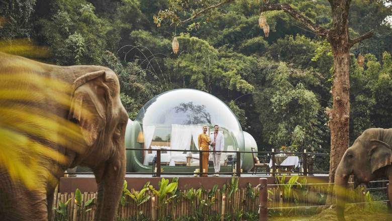 1628529931 elef55 20210811104034 