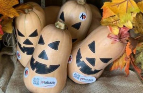 1635154721 whatsapp image 2021 10 22 at 111406